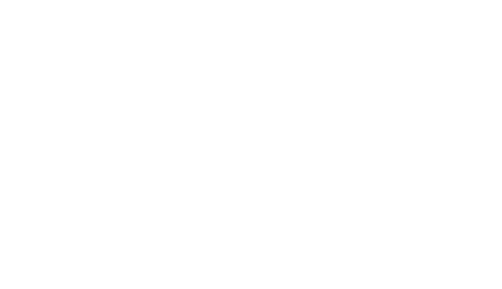 logo pionowe białe bez tła